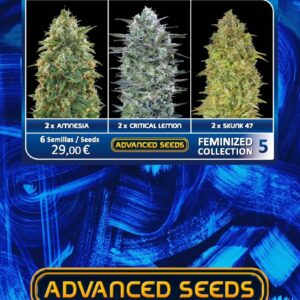 Feminized Collection #5 von Advanced Seeds