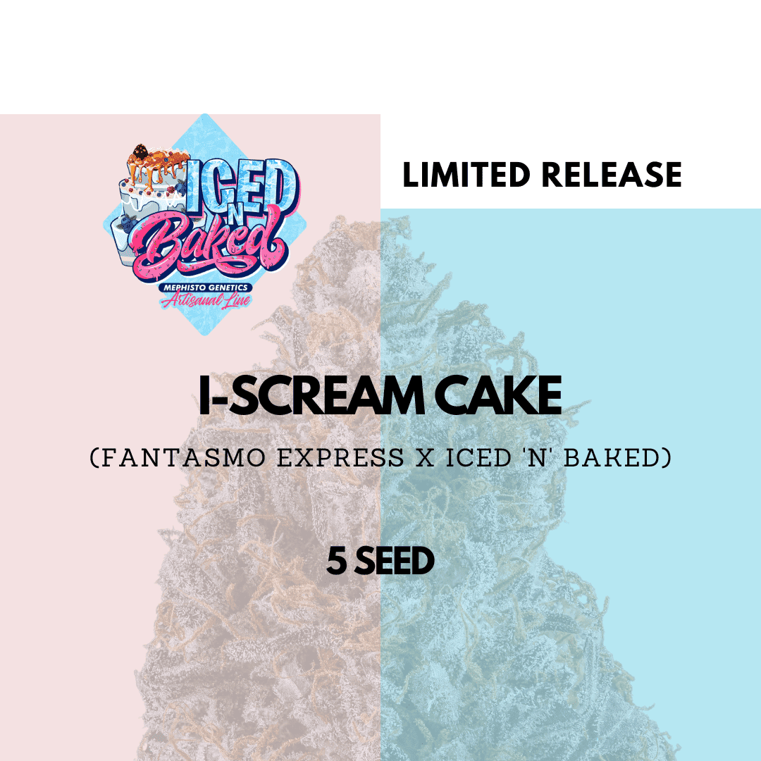 i-scream cake 5er – mephisto genetics (autoflower samen)