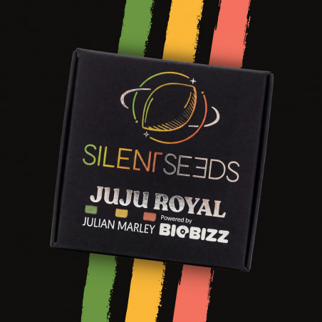 King of Kings 10er Julian Marley x Silent Seeds