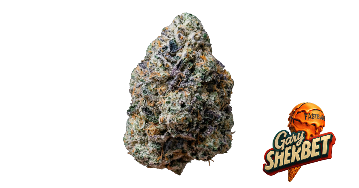 Gary Sherbet von Fast Buds