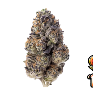 Papaya Sherbet von Fast Buds