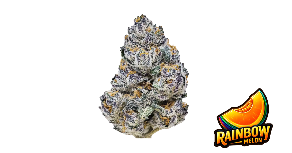 Rainbow Melon von Fast Buds
