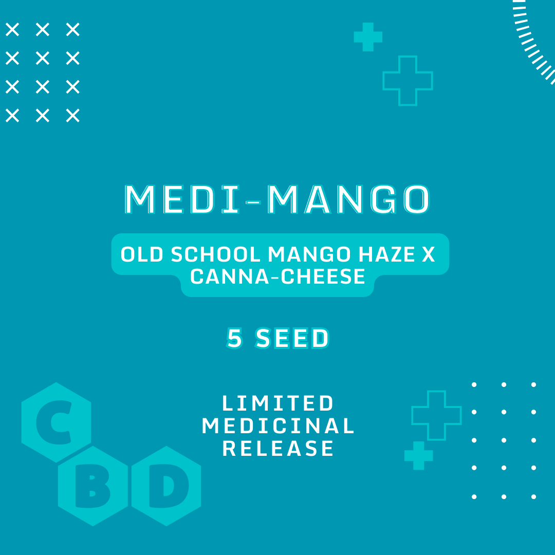 medi-mango 5er – mephisto genetics (autoflower samen)
