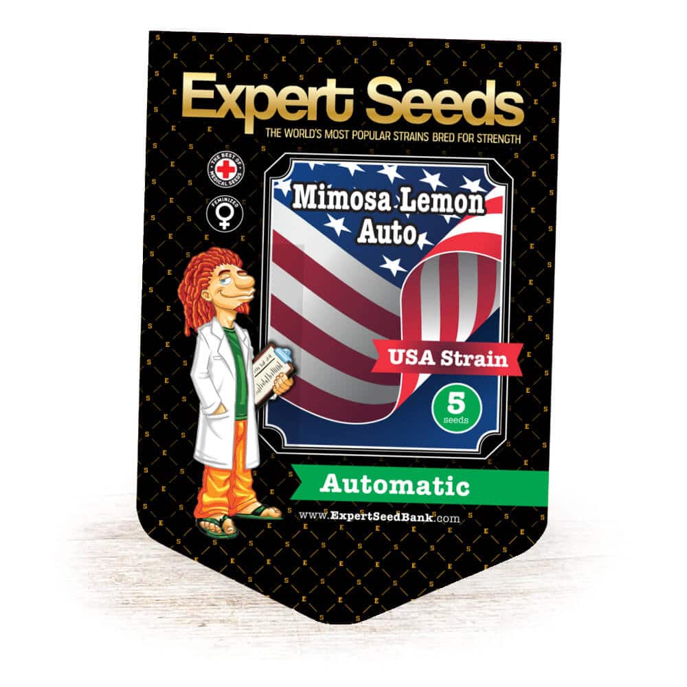 Mimosa Lemon Auto von Expert Seeds