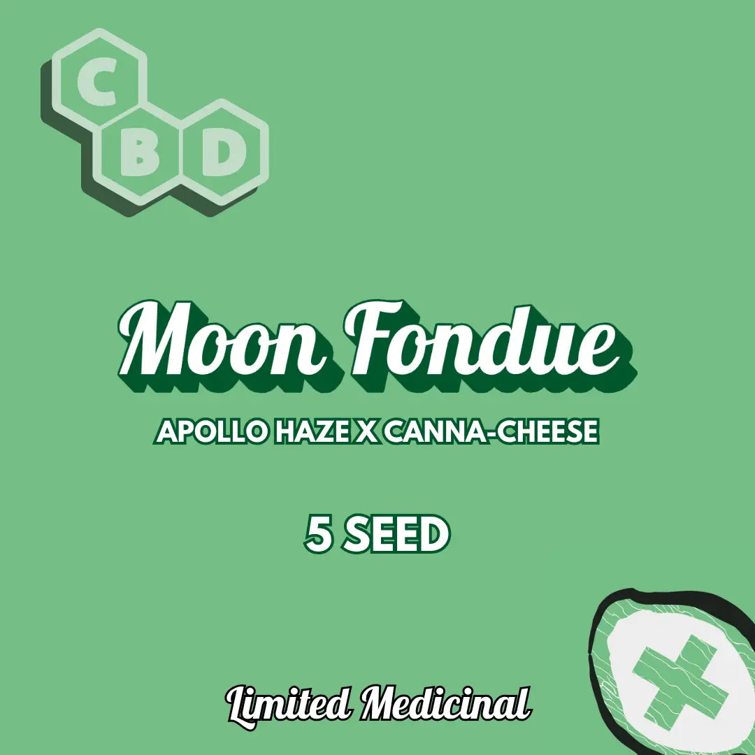 moon fondue 5+1er – mephisto genetics (autoflower samen)