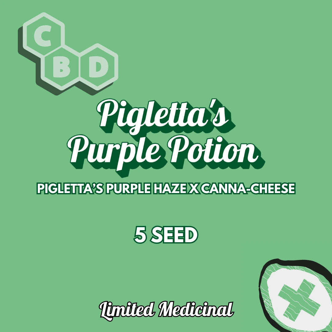 pigletta's purple potion 5+1er – mephisto genetics (autoflower samen)