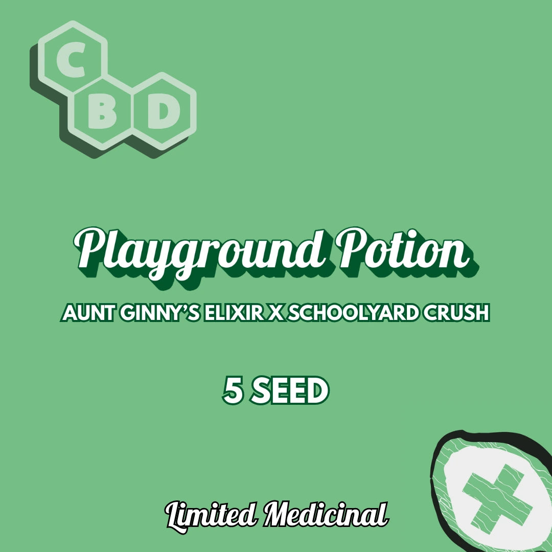 playground potion 5+1er – mephisto genetics (autoflower samen)