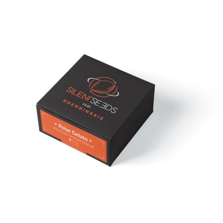 Polar Gelato 10er Silent Seeds