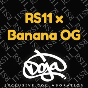 RS11 x Banana OG Barney's Farm