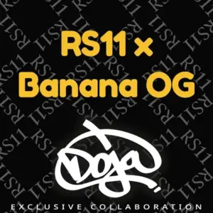 Rs11 X Banana OG von Barney’s Farm