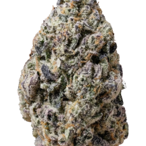 Biscotti Gelato von Fast Buds