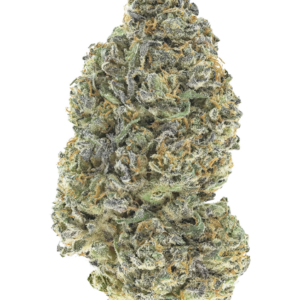 Garlic Mint Sherbet von Fast Buds