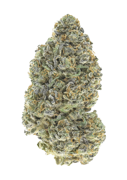 Garlic Mint Sherbet von Fast Buds