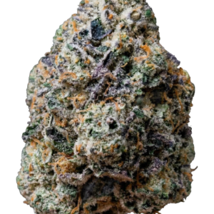 Gary Sherbet von Fast Buds