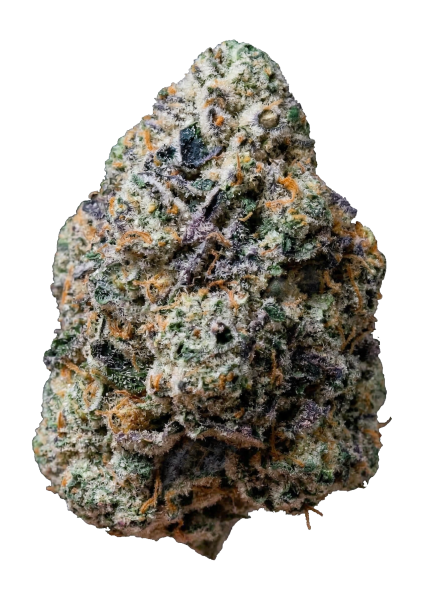 Gary Sherbet von Fast Buds