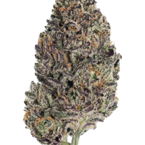 Lemon Cherry Runtz von Fast Buds