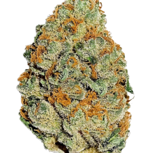 Lemon Mandarin von Fast Buds