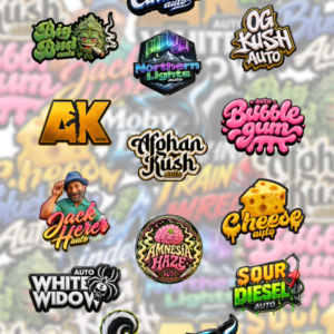 Originals Mix Auto von Fast Buds