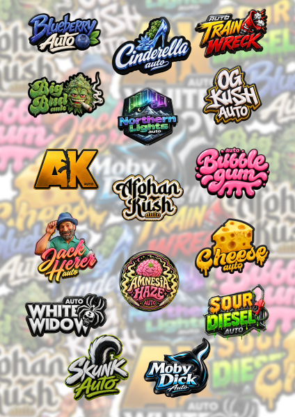 Originals Mix Auto von Fast Buds