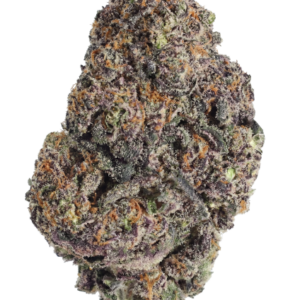 Papayton von Fast Buds