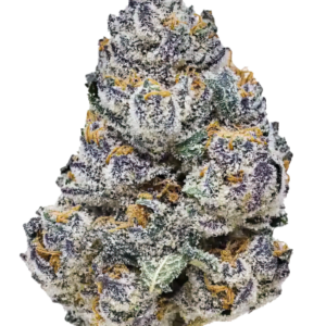 Rainbow Melon von Fast Buds