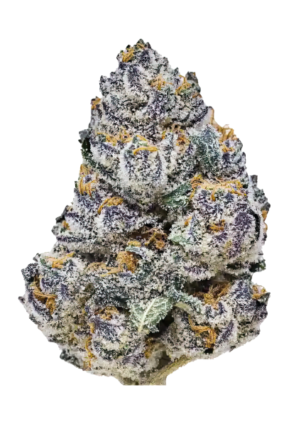 Rainbow Melon von Fast Buds