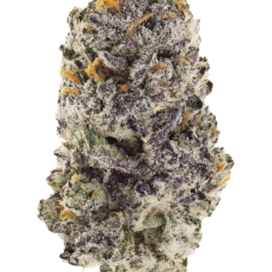 Z42 von Fast Buds