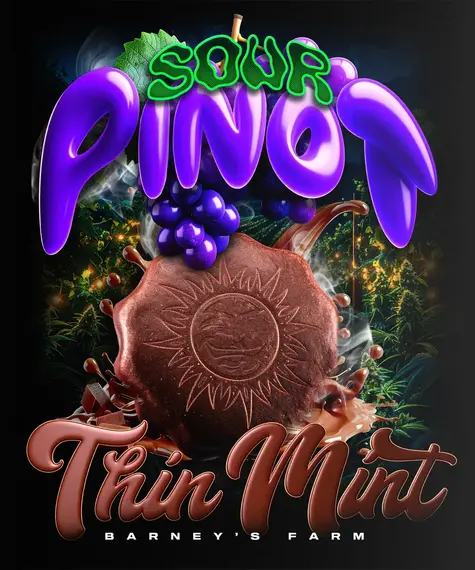 Thin Mint x Sour Pinot Auto von Barney’s Farm