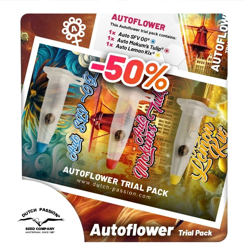 Trial Pack Autoflower von Dutch Passion