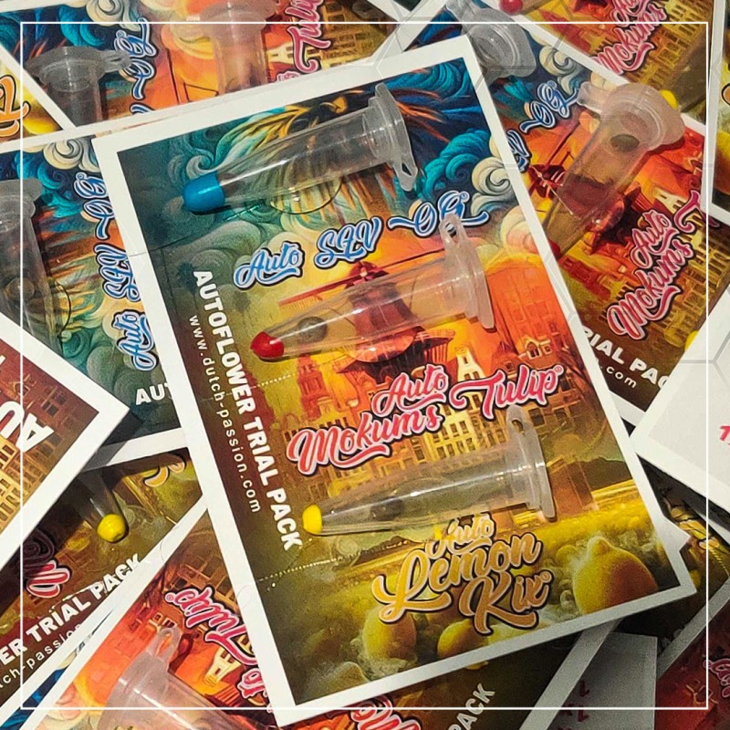 Trial Pack Autoflower von Dutch Passion