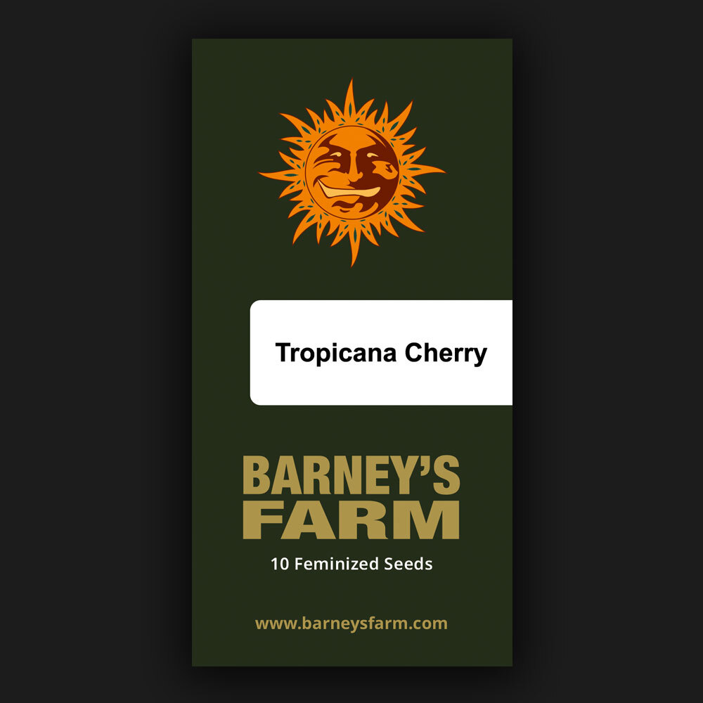 Tropicana Cherry Barney’s Farm