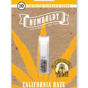 California Haze von Humboldt Seed Company