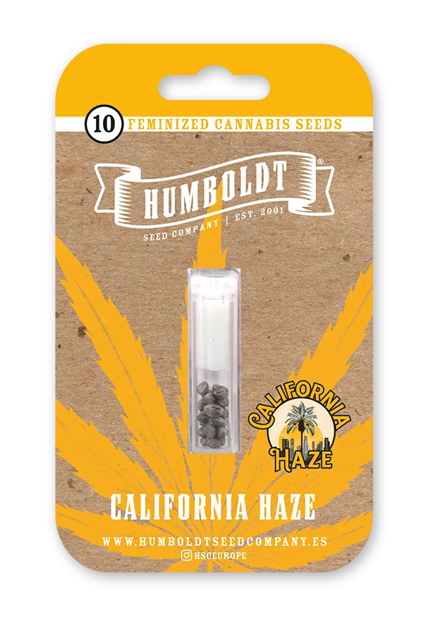 California Haze von Humboldt Seed Company