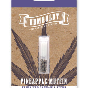 Pineapple Muffin von Humboldt Seed Company