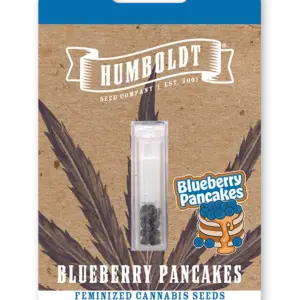 Blueberry Pancakes von Humboldt Seed Company