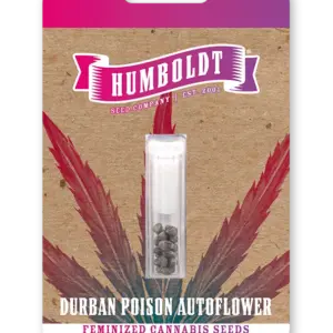 Durban Poison Auto 3 St. Humboldt Seed Company
