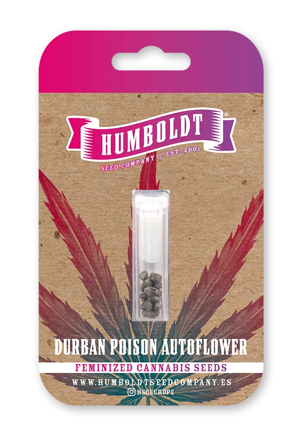 Durban Poison Auto 3 St. Humboldt Seed Company