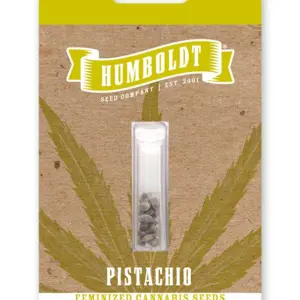 Pistachio von Humboldt Seed Company