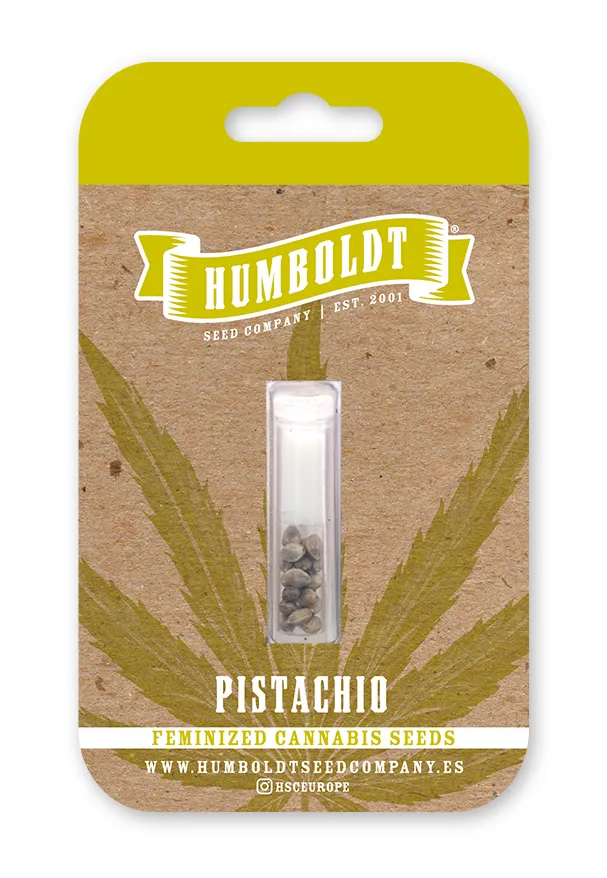Pistachio von Humboldt Seed Company