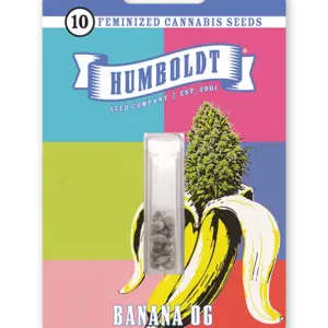 Banana OG 5 St. Humboldt Seed Company