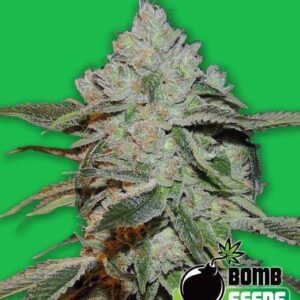 Atomic von Bomb Seeds