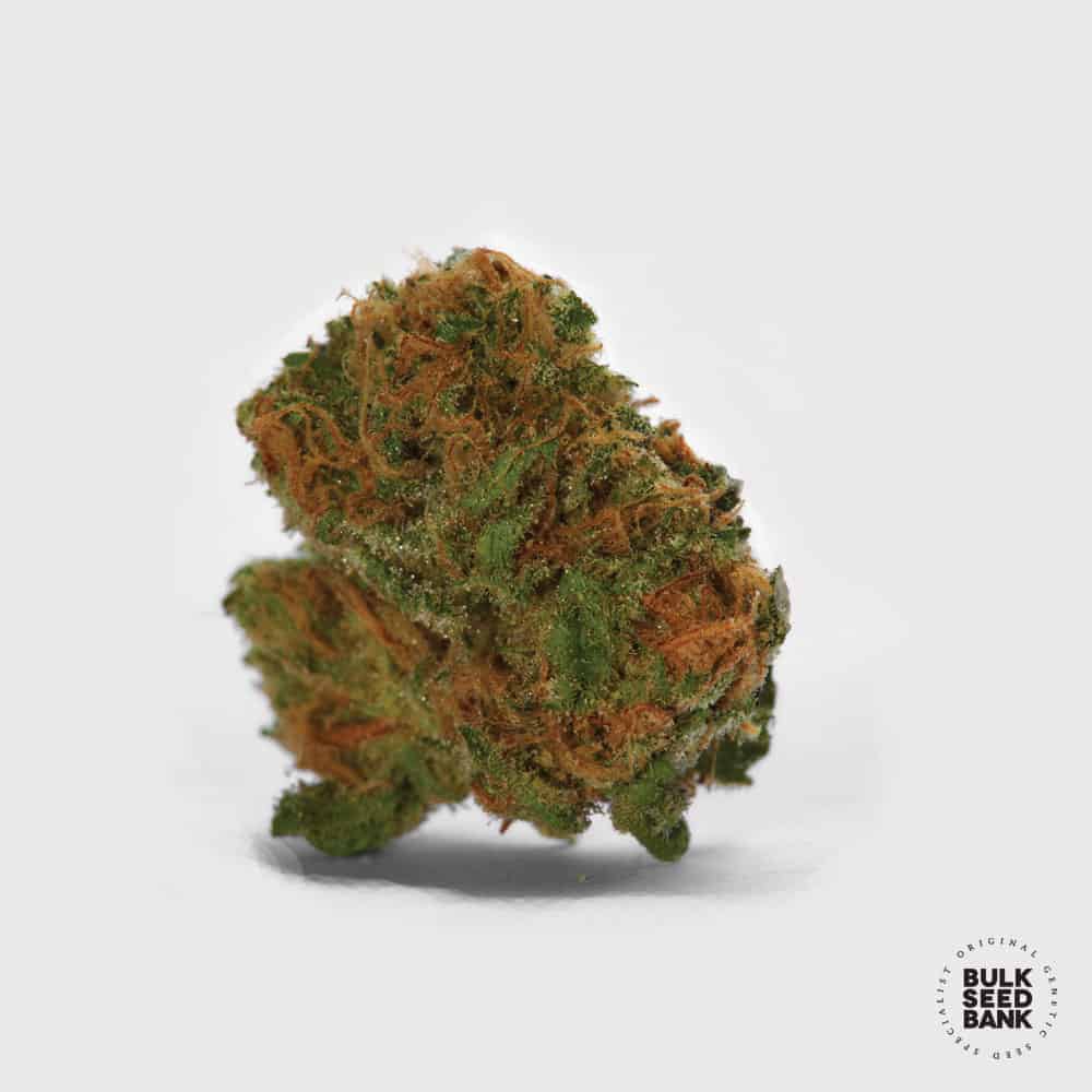 Autoflowering