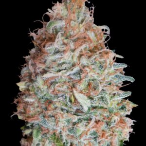 Banana Cookies von Advanced Seeds
