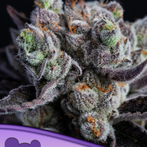 Blackberry Moonrocks von Anesia Seeds
