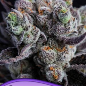 Blackberry Moonrocks von Anesia Seeds