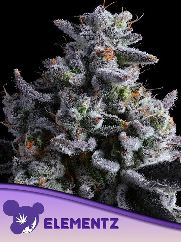 Elementz von Anesia Seeds