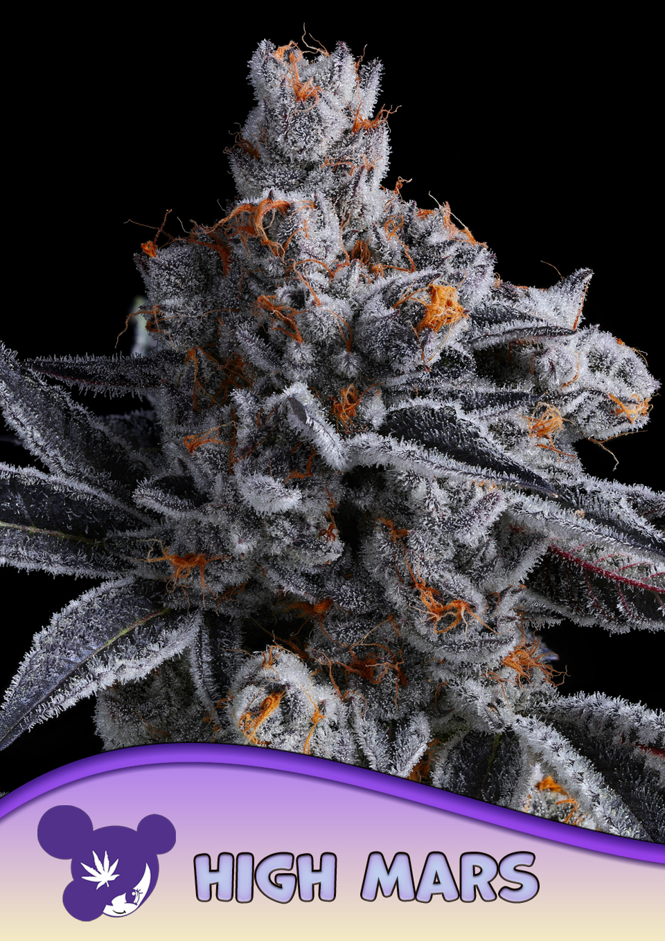 High MARS von Anesia Seeds