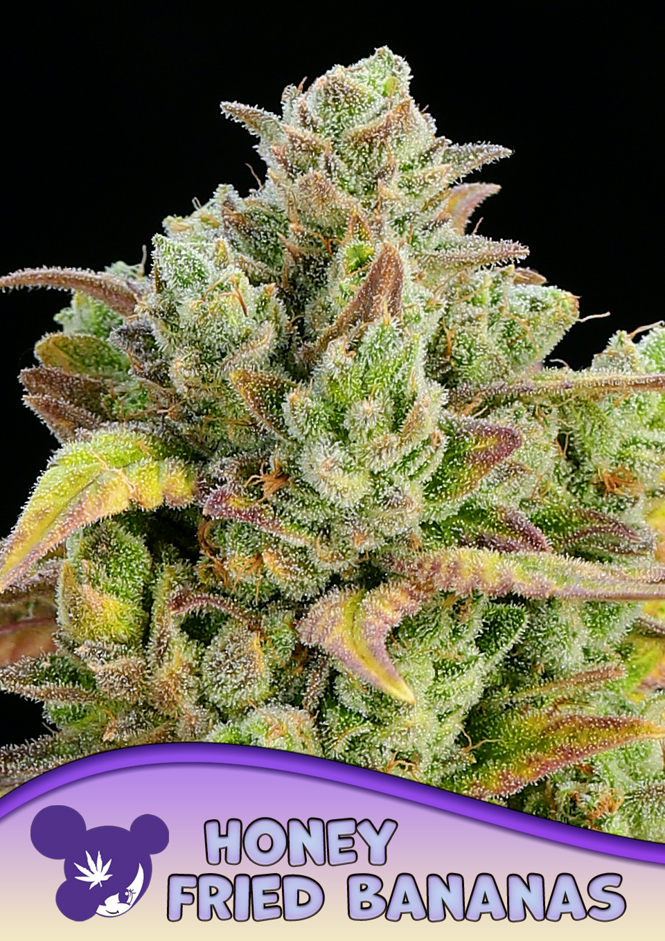 Honey Fried Bananas von Anesia Seeds