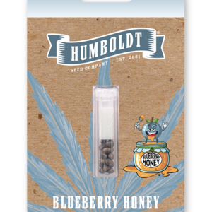 Blueberry Honey 5 St. Humboldt Seed Company