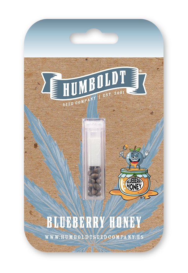 Blueberry Honey 5 St. Humboldt Seed Company